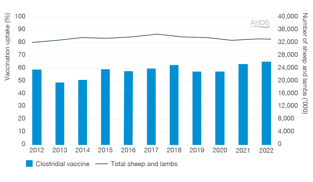 Graph illustrating cattle vaccination against clostridal since 2011